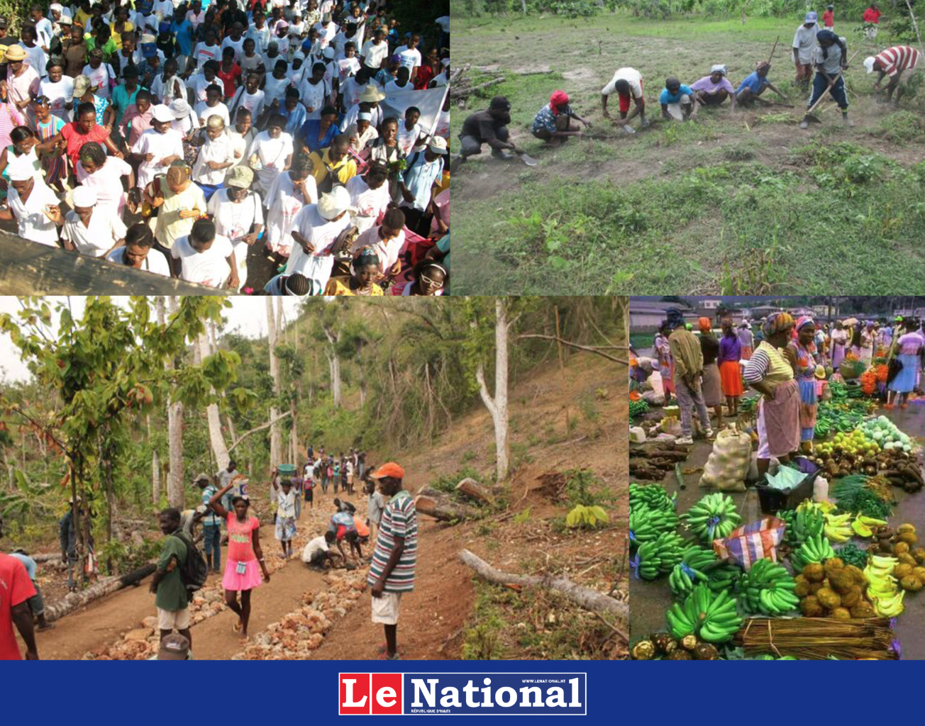 Haïti: promouvoir et favoriser l’agriculture familiale  Autonomiser les femmes et les jeunes